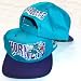 Charlotte Hornets 2 Tone Blue / Purple Snapback Adjustable Plastic Snap Strap Back Hat / Cap