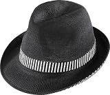 Henschel Men's 3050 Hat