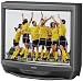 Sony KV32S66 32" Trinitron  TV (gray)