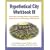 Hypothetical City Workbook III: Exercises and GIS Data to Accompany Urban Land Use Planning, Fifth Edition (No. 3)