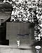 Willie Mays San Francisco Giants MLB Hand Signed 8x10 Photograph The Catch