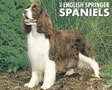 Just English Springer Spaniels 2009 Calendar (Just)