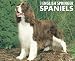 Books : Just English Springer Spaniels 2009 Calendar (Just)