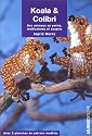 Koala & Colibri : Des animaux en perles, multicolores et souples