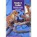 Koala & Colibri : Des animaux en perles, multicolores et souples