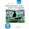Schwarzspecht, Grauspecht, Gr�nspecht: Dryocopus martius, Picus canus, Picus viridis