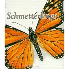 Schmetterlinge