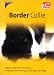 Border Collie. Wissen, was dem Tier gut tut.