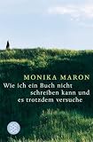 Wie ich ein Buch nicht schreiben kann und es trotzdem versuche