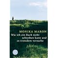 Wie ich ein Buch nicht schreiben kann und es trotzdem versuche