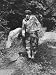Author Vladimir Nabokov Chasing Butterflies Premium Photographic Poster Print by Carl...