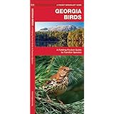 georgia birds a folding pocket guide to familiar species pocket naturalist guide series