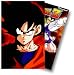 Dragon Ball Z - The Namek Saga (Boxed Set II - Episodes 26-53)