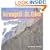 Wrangell-St. Elias: America's Largest National Park