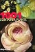 Book 1001 Container Plants