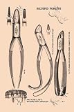 Art Poster, Bicuspid Forceps - 18.75 x 27.5