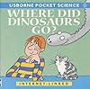 Where Did Dinosaurs Go? (Usborne Starting Point Science)