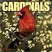 Book Cardinals 2004 Calendar