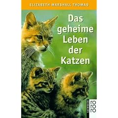 Das geheime Leben der Katzen.