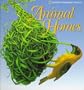 Pop-Up: Animal Homes (National Geographic Action Book)