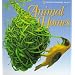 Pop-Up: Animal Homes (National Geographic Action Book)