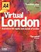 Software : AA Virtual London