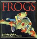 Frogs