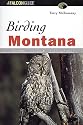 Birding Montana