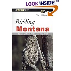 Birding Montana