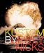 Third Party New : Kustom