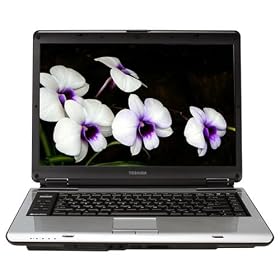 Toshiba Satellite A135-S4499 15.4" Laptop (2 GB RAM, 240 GB Hard Drive, SuperMulti DVD Drive, Vista Ultimate)