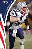 TEDY BRUSCHI NEW ENGLAND PATRIOTS POSTER 22.5x34 #4031