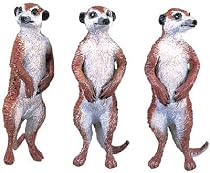 Wild Safari 3 Meerkats Set