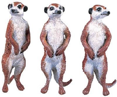 Meerkats Set Of Three