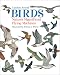Book Birds: Nature's Magnificent Flying Machines