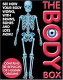 The Body Box: See How Your Body Works