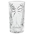 Embossed Palm Tree Highball Glasses Set of 4