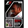 2008 FIA F1���E�I�茠���W�� ���S���{��� [DVD]