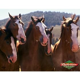 Budweiser (Clydesdale Group) Gold Wood-Mounted Art Poster Print - 22" X 28"