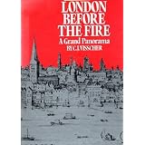 London Before the Fire. A Grand Panoramaby J Wellsman