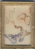 Dollhouse Artwork Art Print of an Asian Butterfly Painting