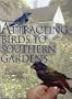 Attracting Birds to Southern Gardens