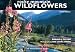 Books : Rocky Mountain Wildflowers