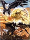  : Paint By Number - Bald Eagles