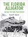 Book The Florida Alligator: In Old Picture Postcards