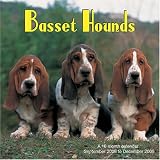 Basset Hounds 2009 Wall Calendar