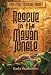 Book Rescue in the Mayan Jungle (Time-Stone Travelers, 1)