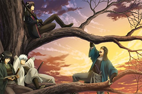 銀魂° 8 (完全生産限定版) [Blu-ray]