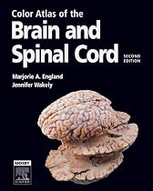 Color Atlas of the Brain and Spinal Cord: An Introduction to Normal Neuroanatomy