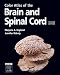 Color Atlas of the Brain and Spinal Cord: An Introduction to Normal Neuroanatomy